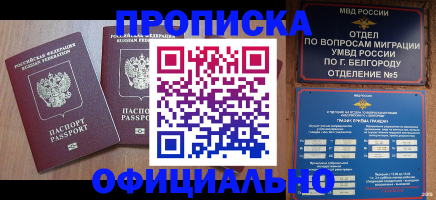 найти адрес прописки в Торжоке